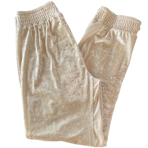 We Are HAH 1 Track Mind Crushed Velvet Jogger Pant in Almond Milk Slouchy Mesh - Picture 16 of 16
